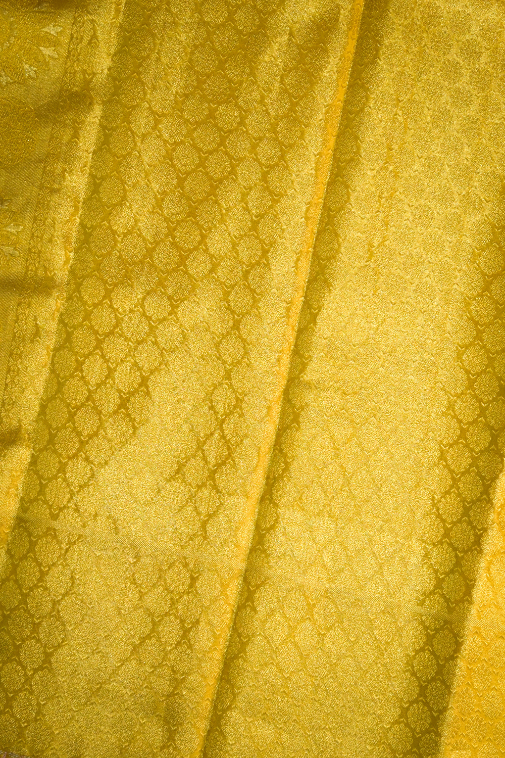 Kanjivaram Woven Meenakari Jaal With Floral Jari Border