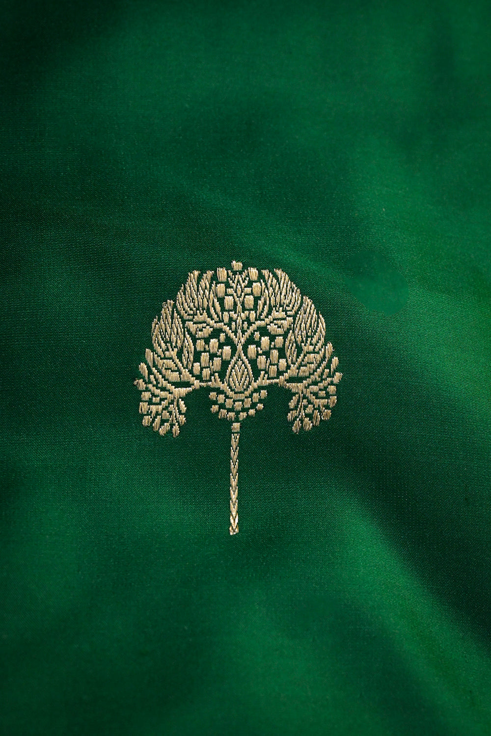 Banarasi And Satin Mashroo Silk With Woven Banyan Tree Jari Motifs