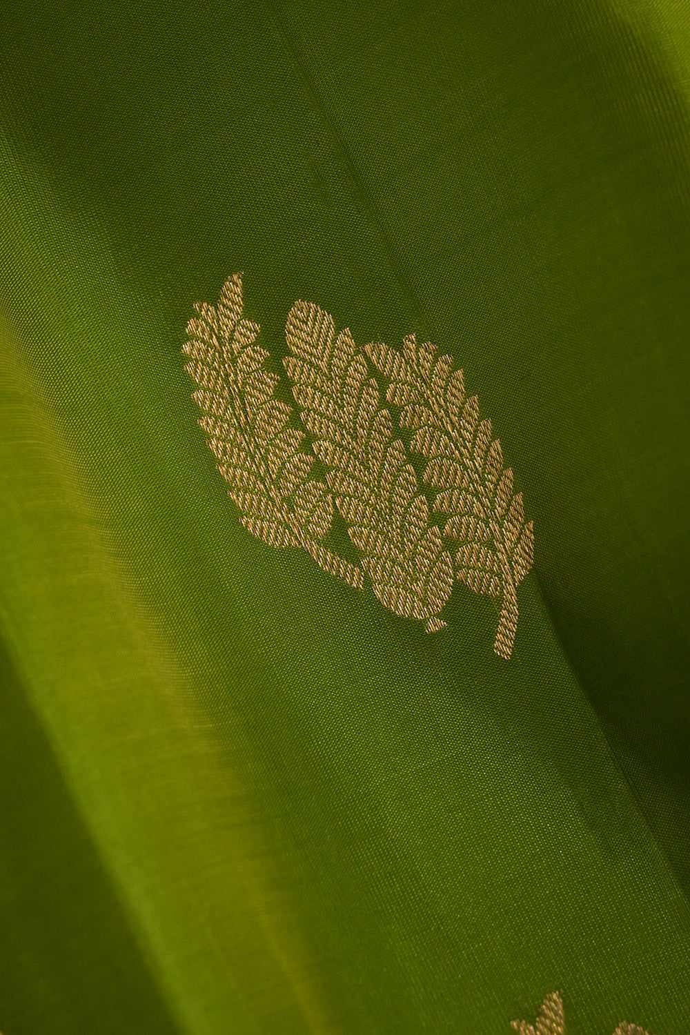 Soft Silk Borderless With Triple Leaves Motifs