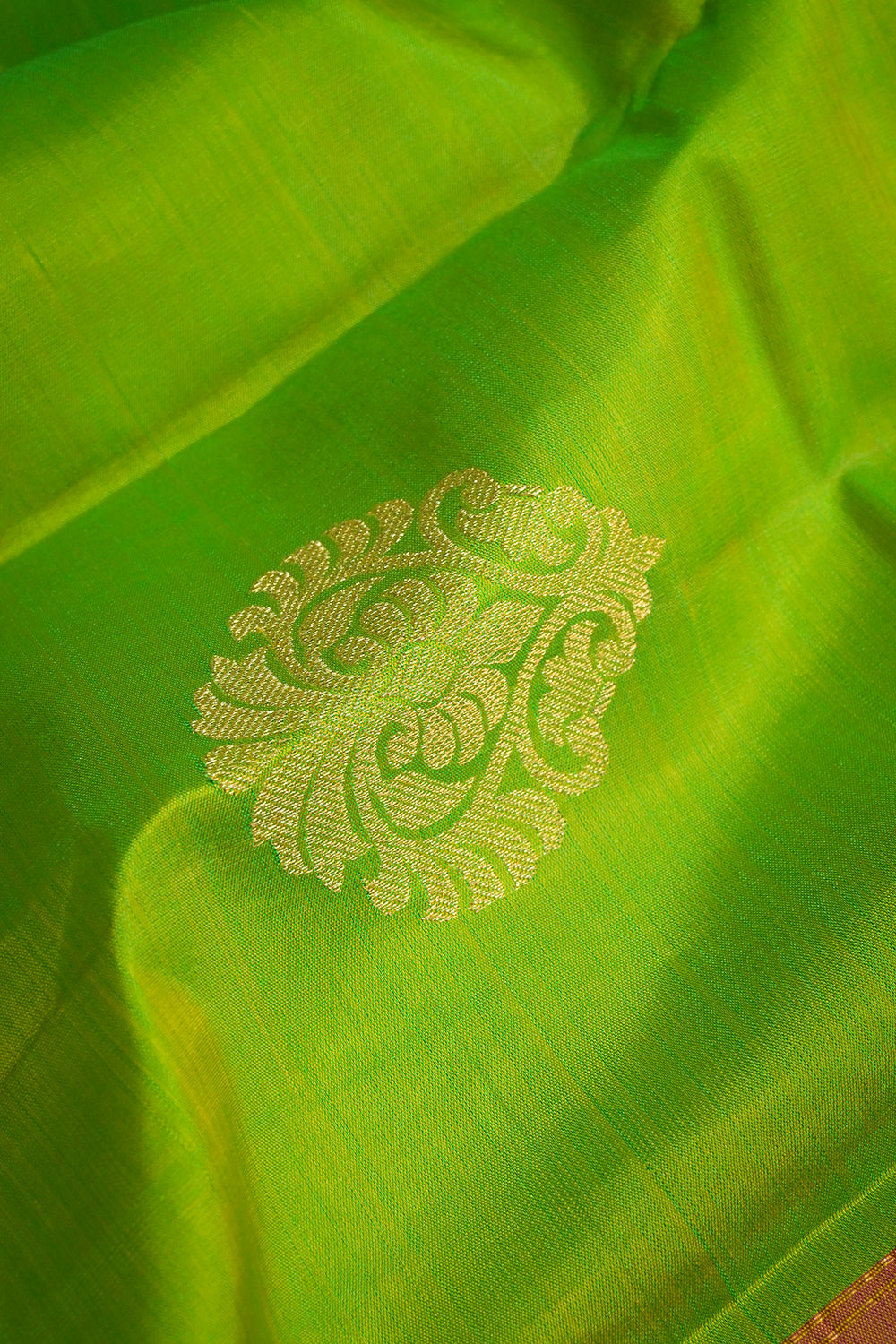 Soft Silk Woven Jari Motifs With Chex Multicoloured Border