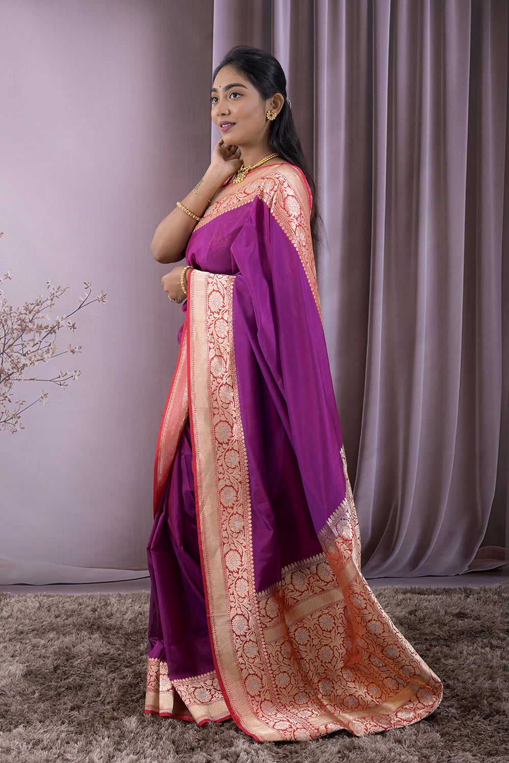 Banarasi Plain Body With Banarasi Border