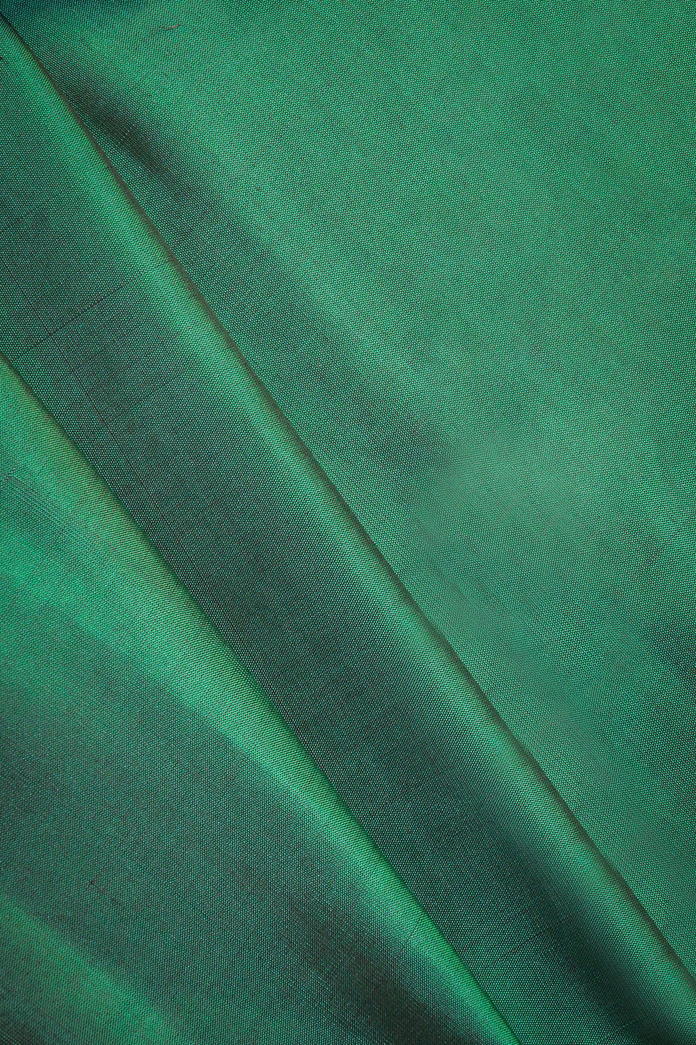 Soft Silk Borderless With Betel Leafs Jari Motifs With Green Contrast
