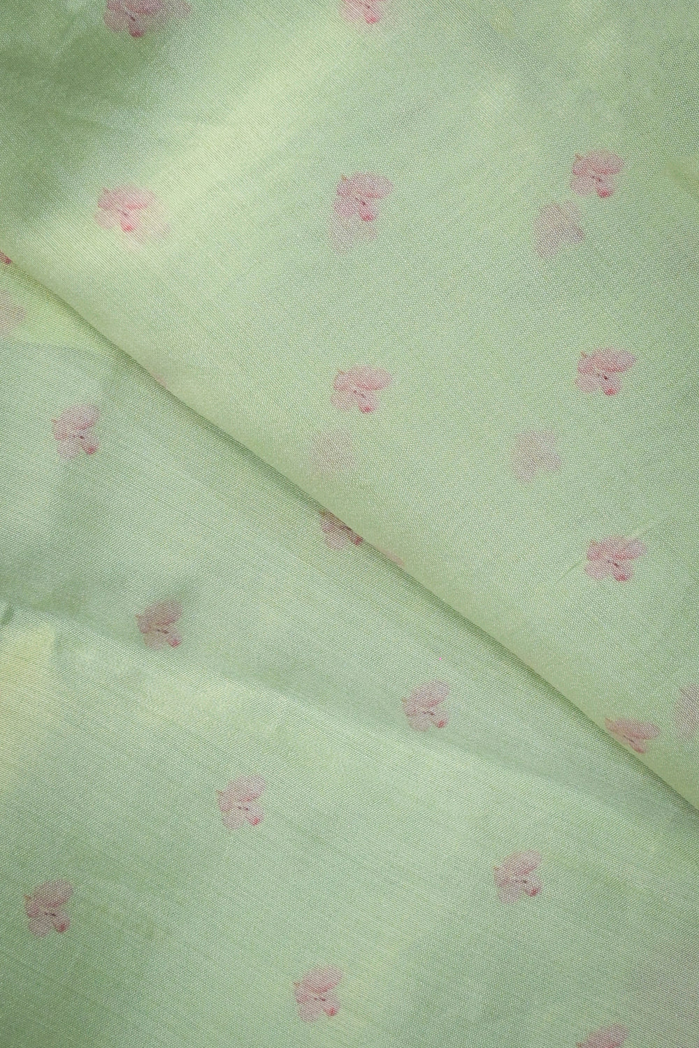 Organza Floral Print With Lucknowi Embroidery Border