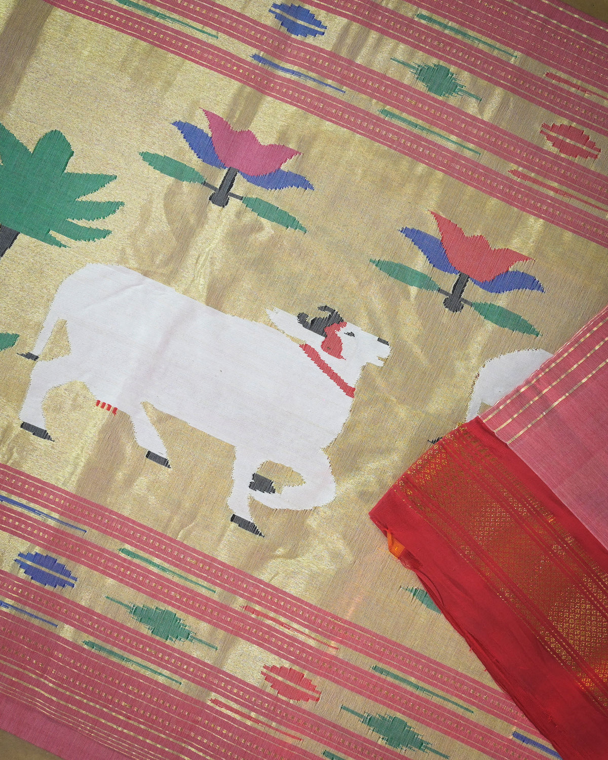 Peach pink Handloom Cotton Paithani Saree with Heavy Ghaivasru Pallu