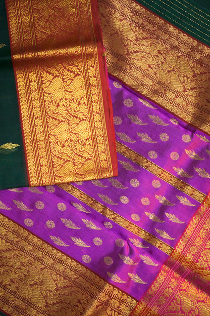 Chanderi Woven Leaf And Round Jari Motifs With Magenta Contrast Pallu