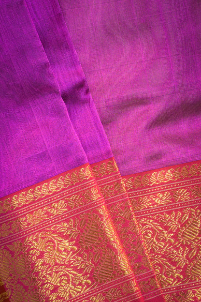 Chanderi Woven Leaf And Round Jari Motifs With Magenta Contrast Pallu