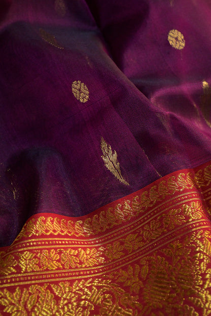 Chanderi Woven Leaf And Round Jari Motifs With Violet Contrast Pallu